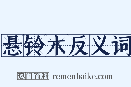 悬铃木反义词是什么意思的图片